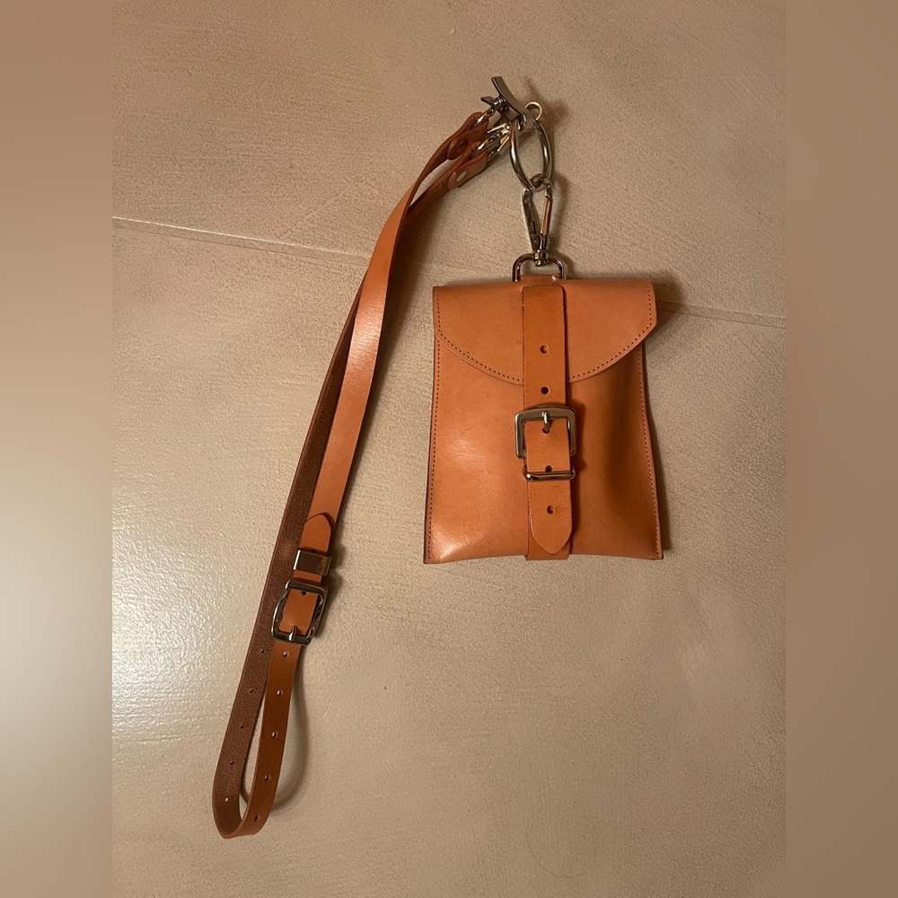 Zana Bayne Belt/Crossbody bag